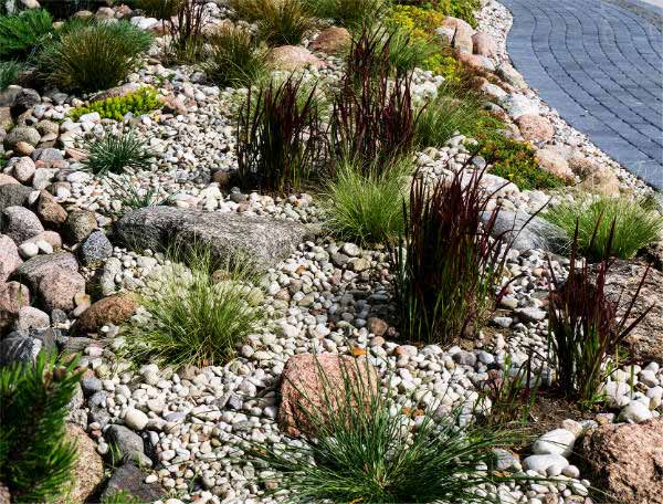High Quality Landscaping Services in Sunnyvale, TX