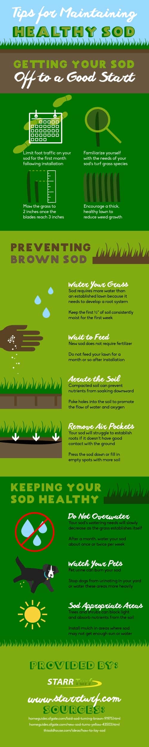 Tips for Maintaining Healthy Sod by Starr Turf Grass Inc.