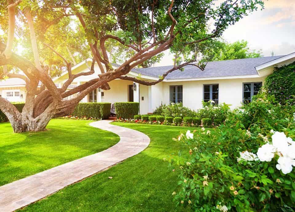 Landscaping in Sunnyvale