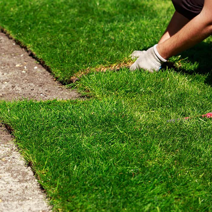 Close-up of a Landscaping Stonework in Sunnyvale, TX
