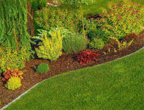 Low Maintenance Sod in Sunnyvale, TX